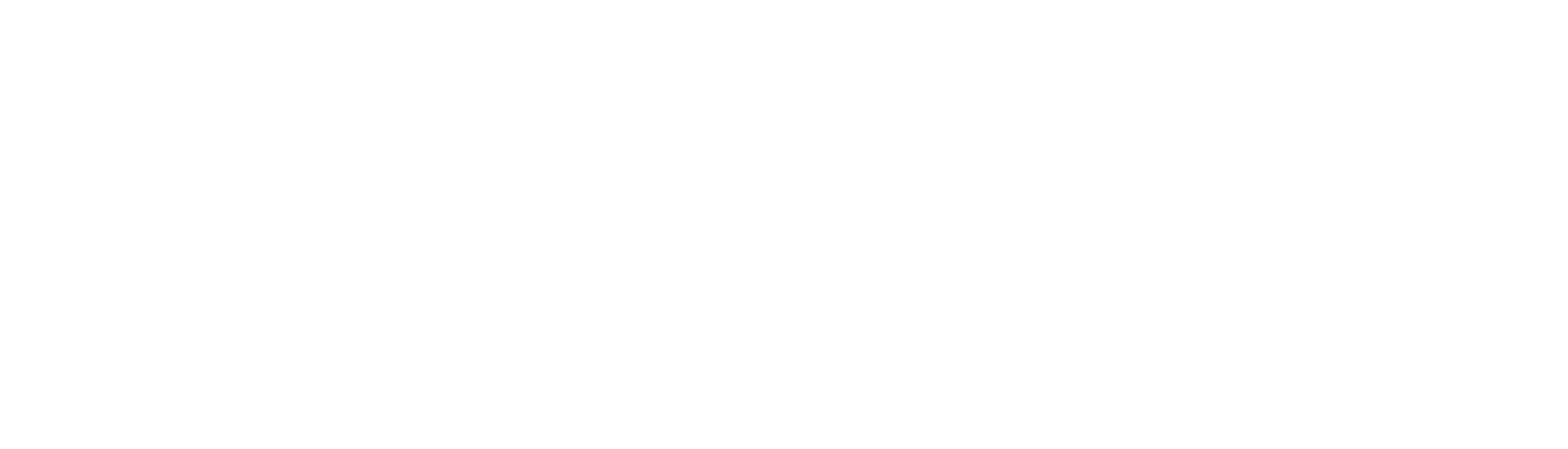 Big Night San Diego Logo